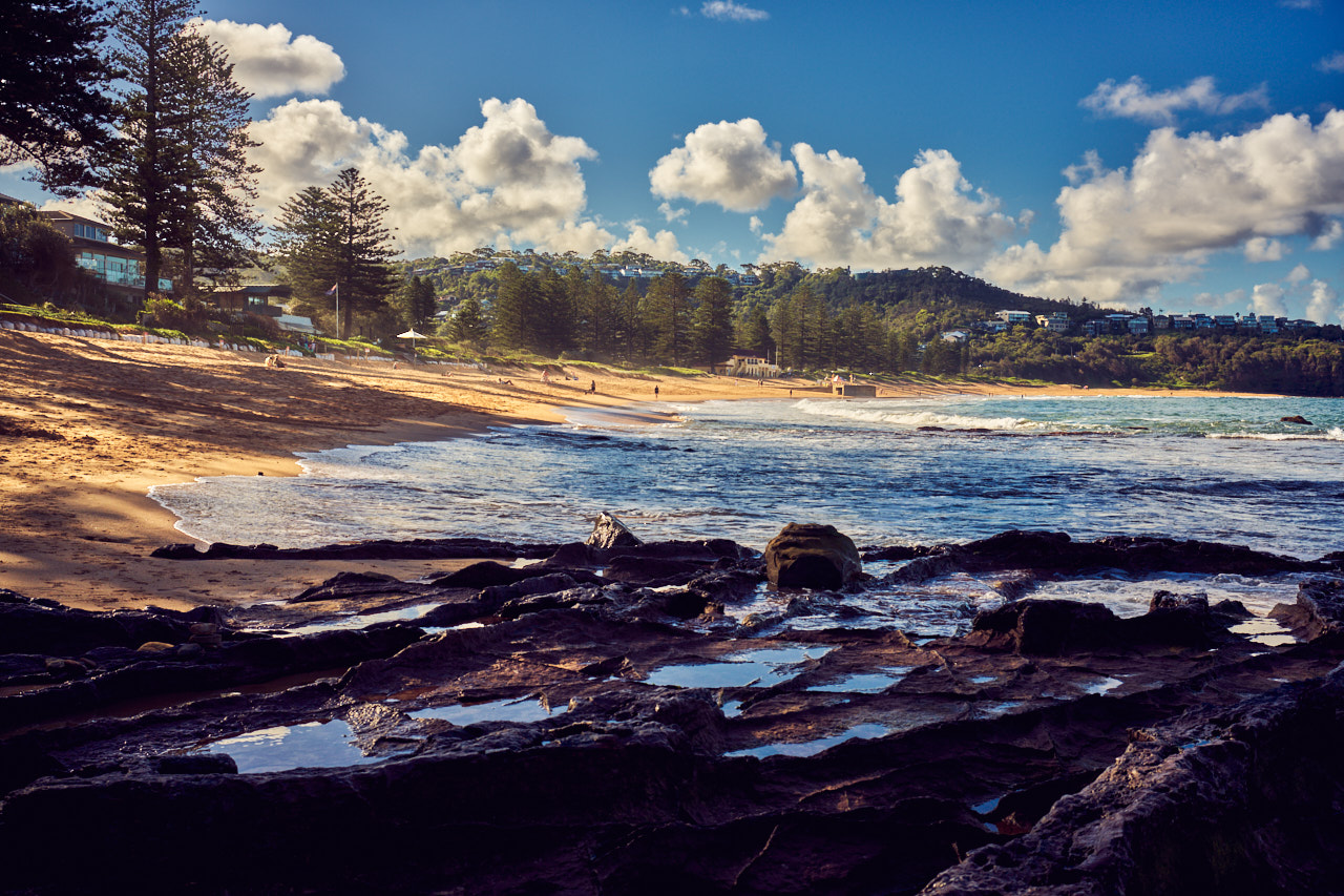 Peter Pesta | Landscape 01